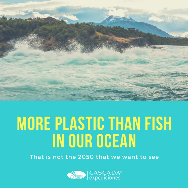 More plastic than fish in our oceans