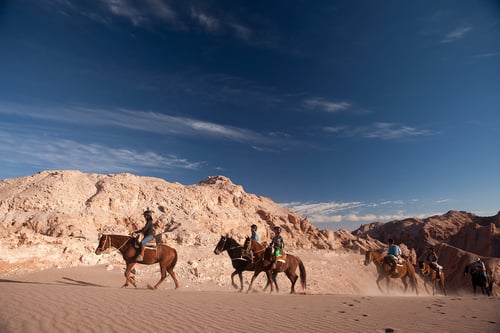 Horseback riding Epic Atacama NOR027