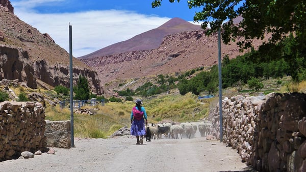 Local Culture Atacama