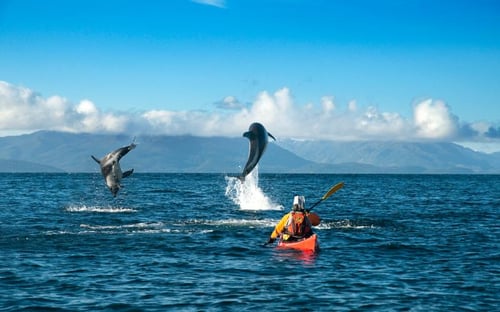 kayaking in Puerto Natales