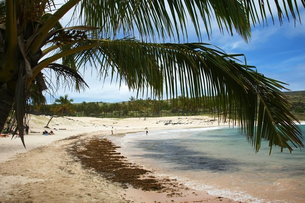 Anakena Beach